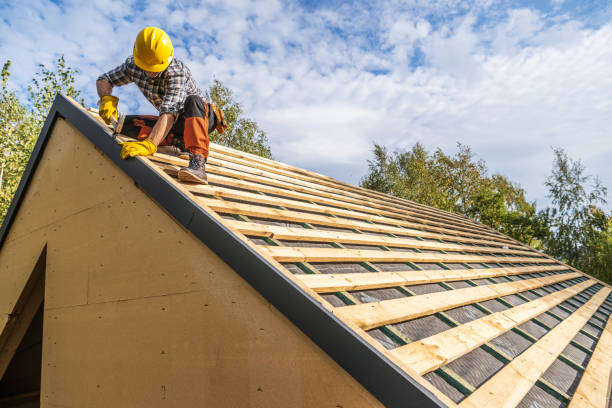 Best Roof Gutter Cleaning  in Santa Teresa, NM