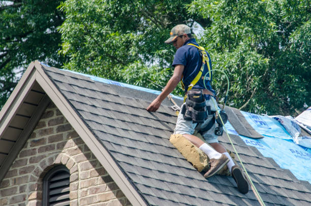 Best Storm Damage Roof Repair  in Santa Teresa, NM